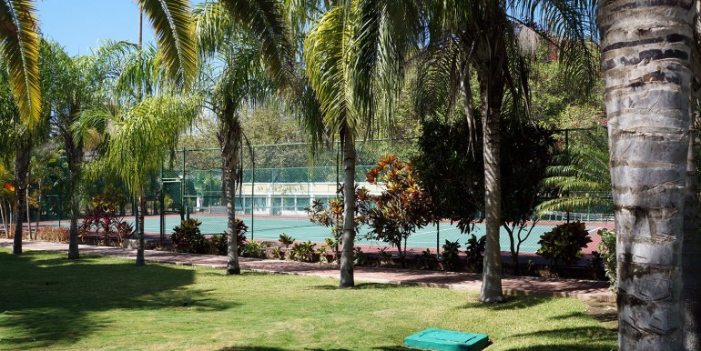 TENIS